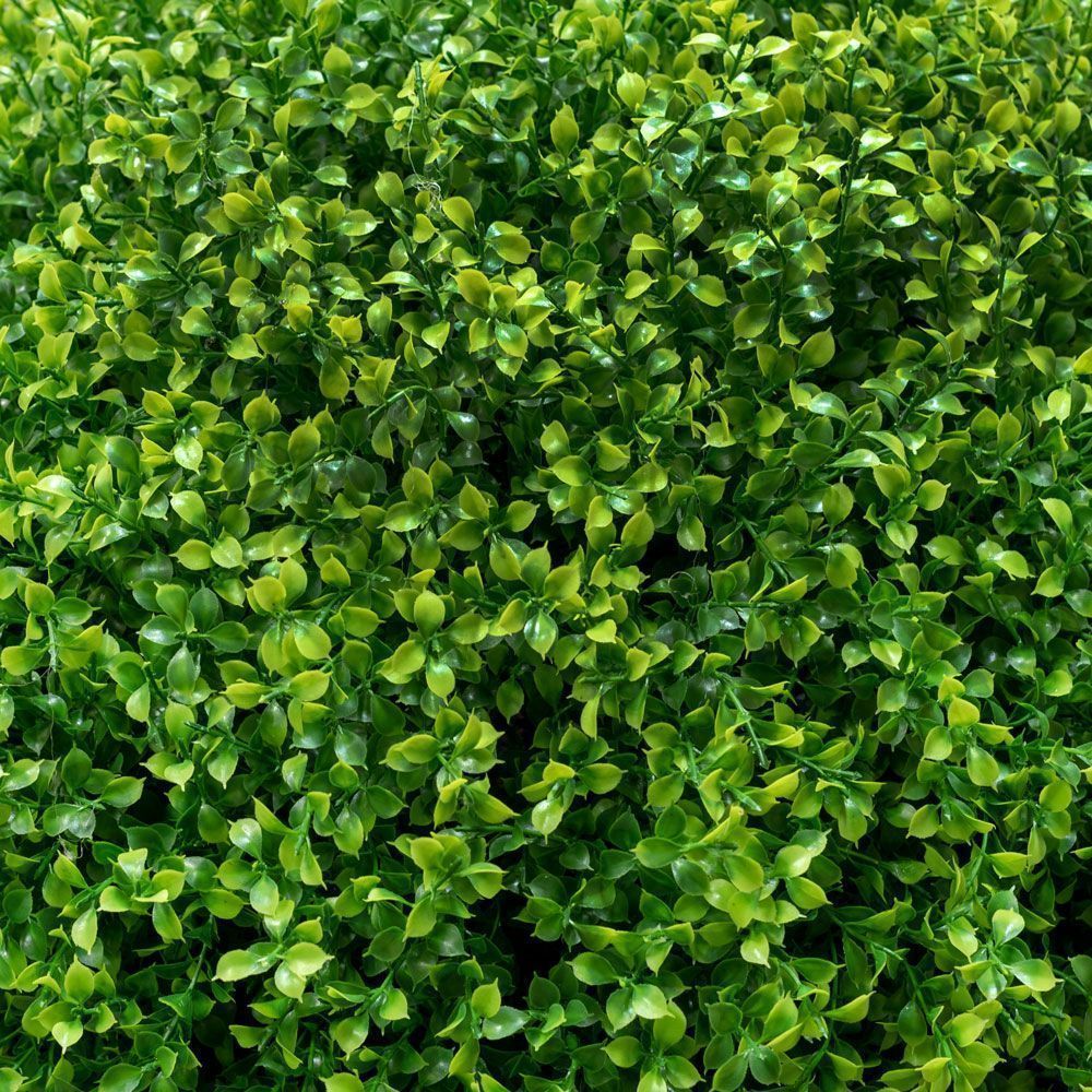 СШ80/229-1 Самшит-шар Премиум (d-80см)_2