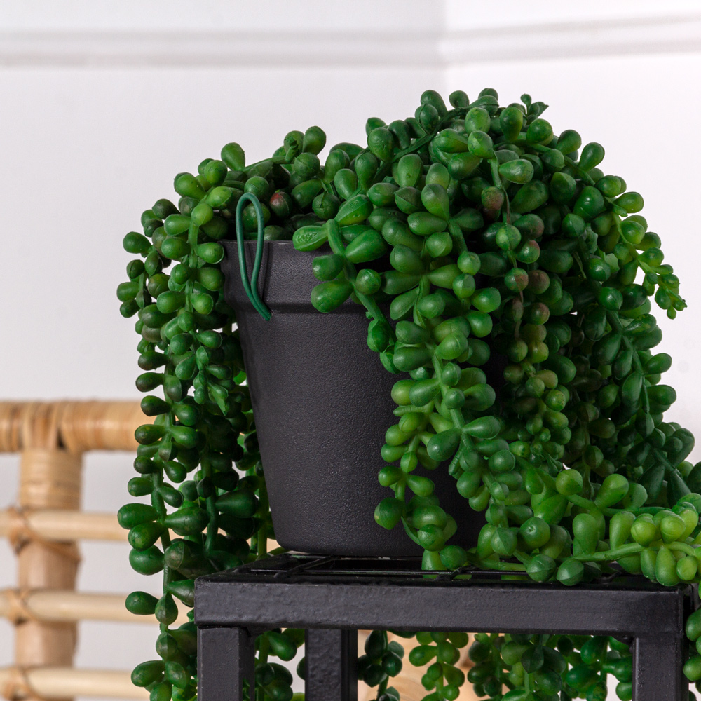 КС84 Композиция искусственная Крестовник Роули ампельный в кашпо, зеленый_6