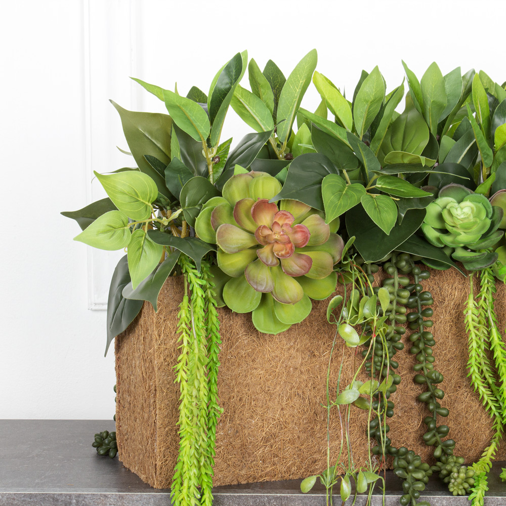 СКК14/7-2(з.) Композиц.из суккул.с зеленью в к.б(50х12х18)_9