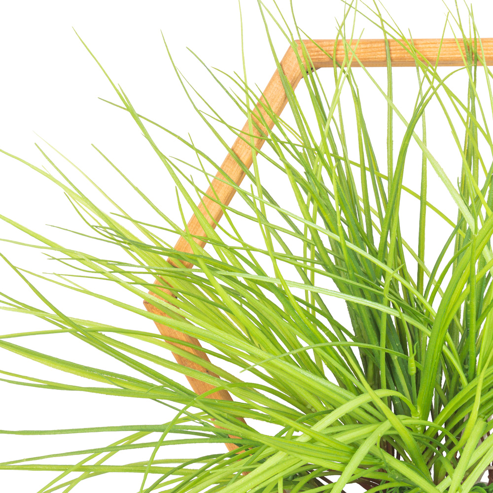 БК136/09 Композиция искусственная Сота 38хh33см_1