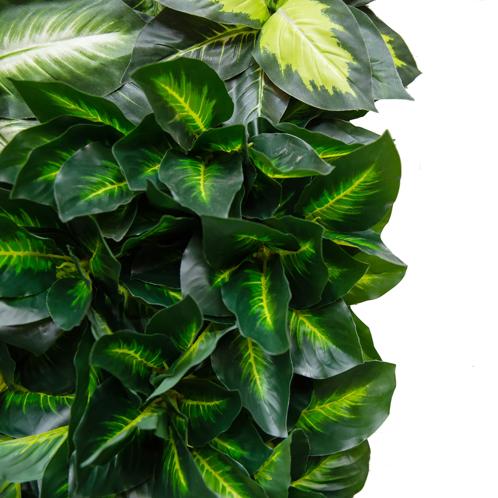 Фитостена 115_3