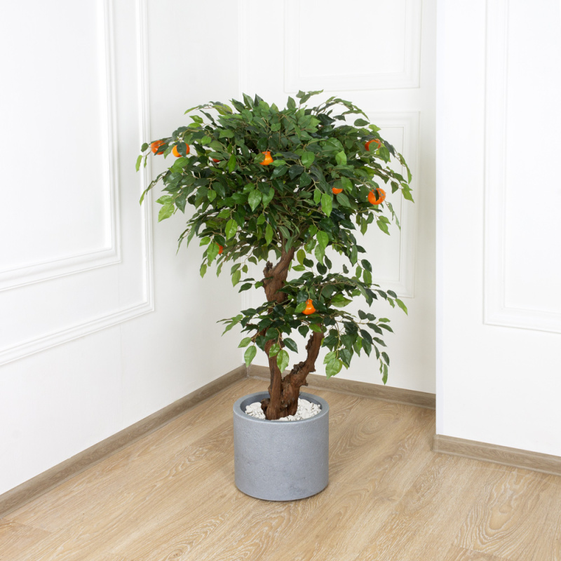 БП 100/2К/39 Бонсай плод. Мандарин-мини 100см (латекс)_22