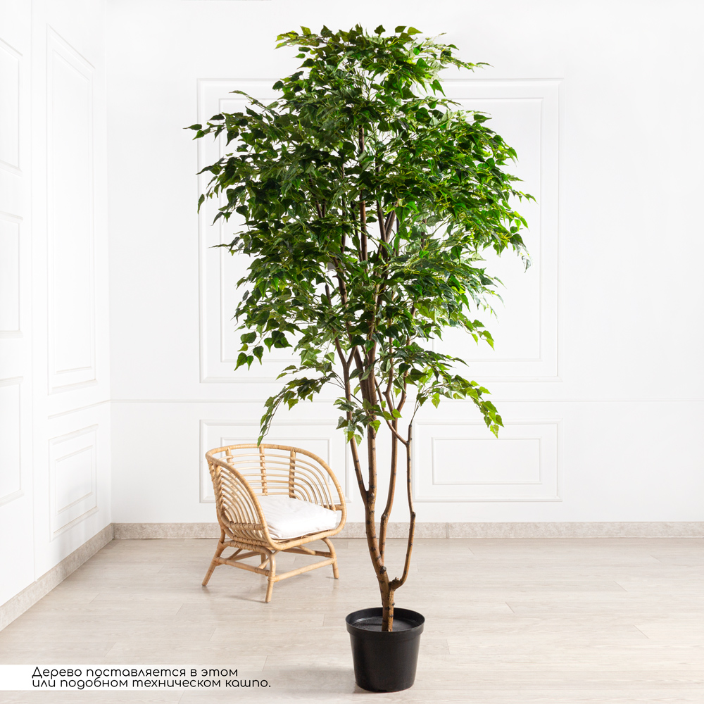 240/РН/12М-4(з)(F) Береза искусственная h240см, 2 ствола(латекс)_2