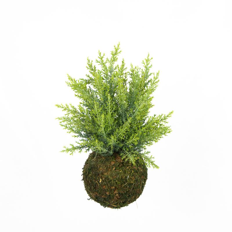 ККД37/146 Кокедама d-15 