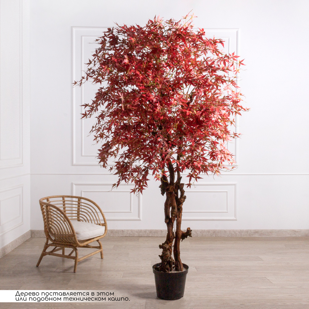 250/ОС/530(з/УУ)(Пр)(F) Клен искусственный японский h250см, красный _1