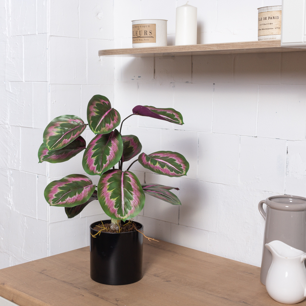 ЦС214(F) Калатея искусственная зелёно-фиолетовая_3