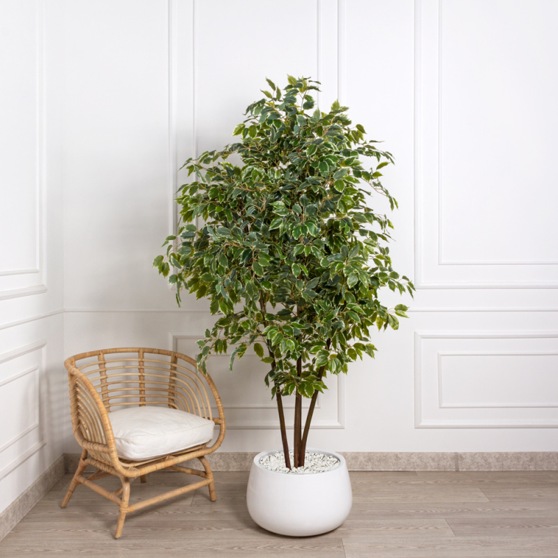 190/Я4/РН/17М Фикус Бенджамина искусственный h190см (латекс)_2