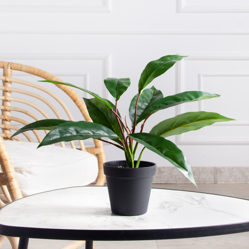 ЦС30/212(з)(Пр)(F) Спатифиллум искусственный в кашпо d11см, латекс_1