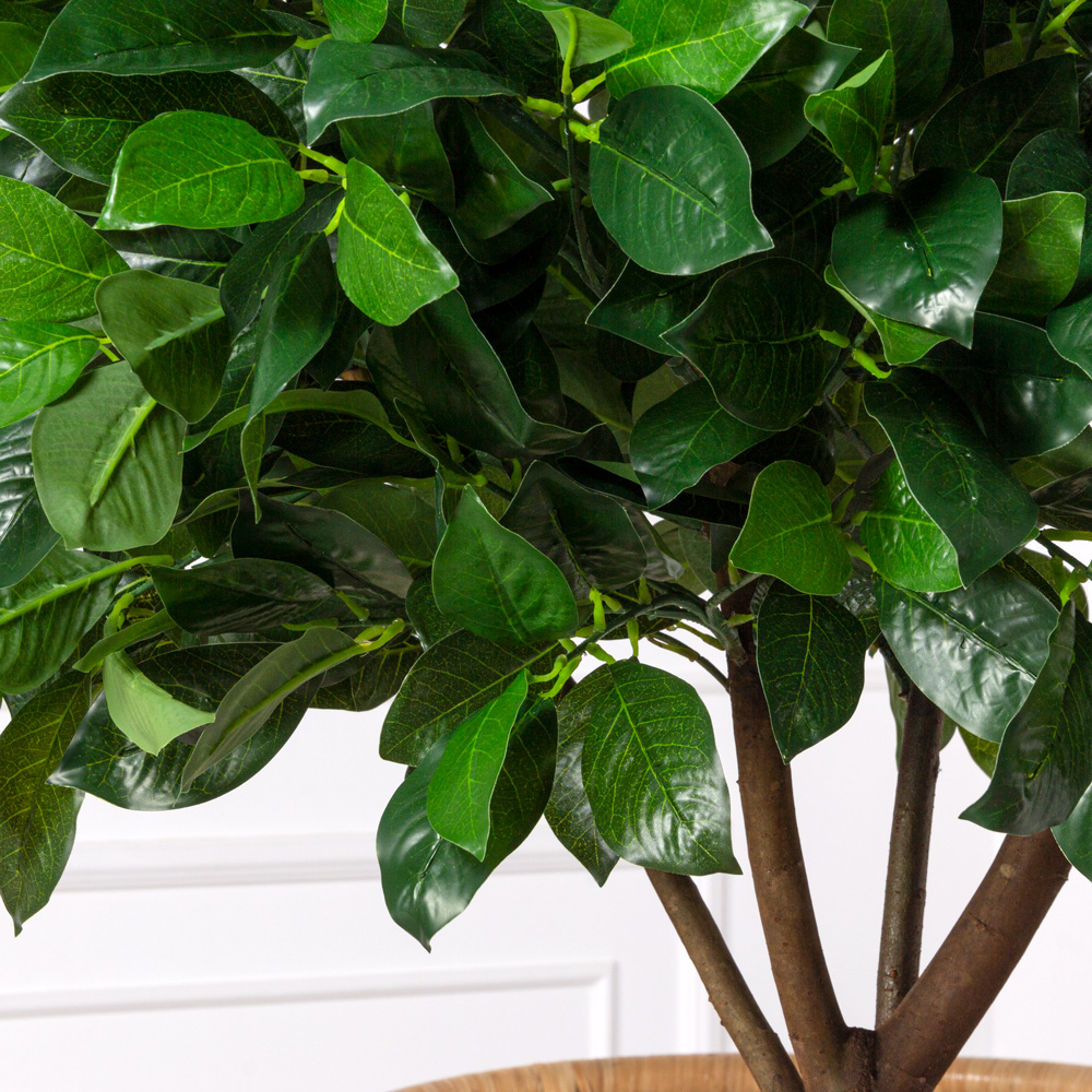 150/Ш/188-1(з)(Пр) Лавр искусственный h150см, d80см _2