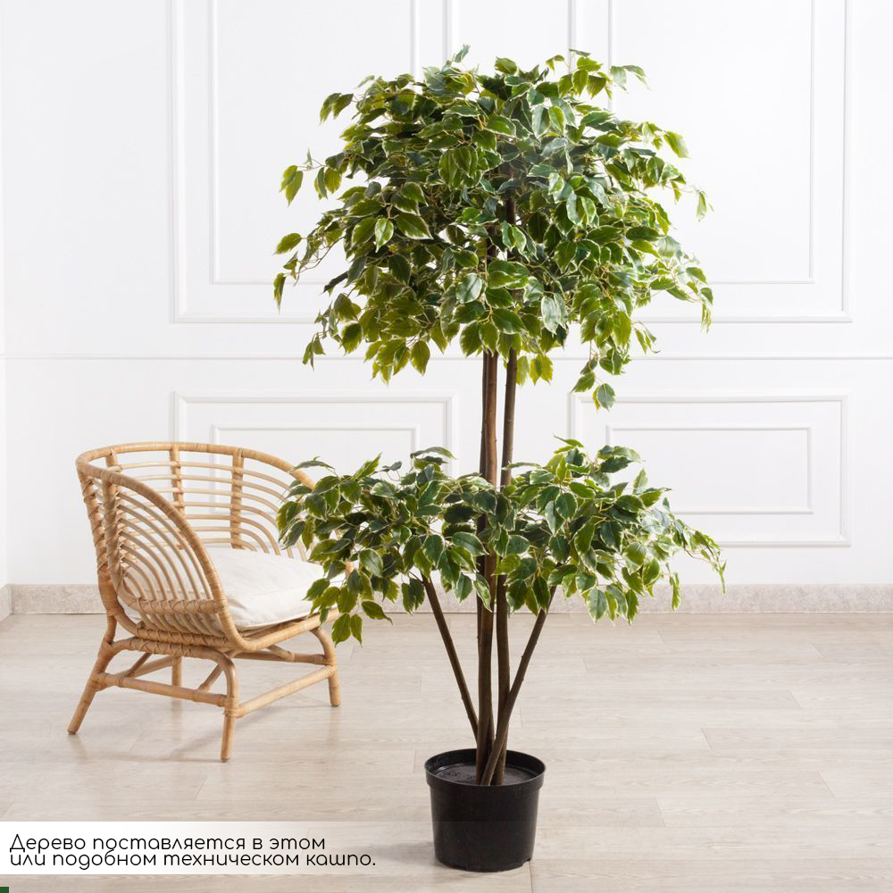 160/3К/17(F) Фикус Бенджамина искусственный h160см (латекс)_1