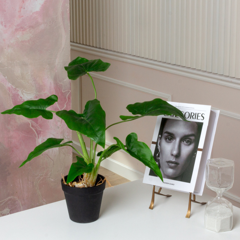 ЦС213(F) Алоказия искусственная,  зеленая