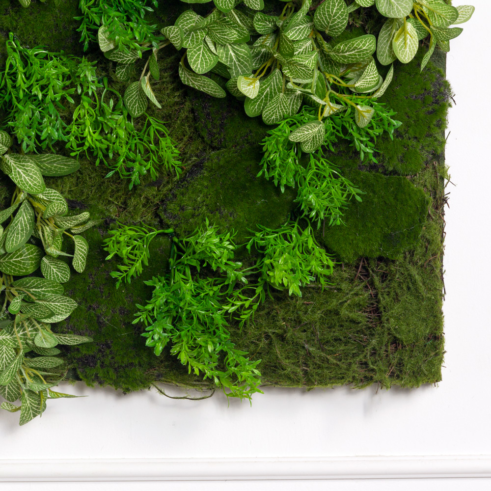 ФК06(з)(F) Фитокартина со мхом-ряской 50х50см_1