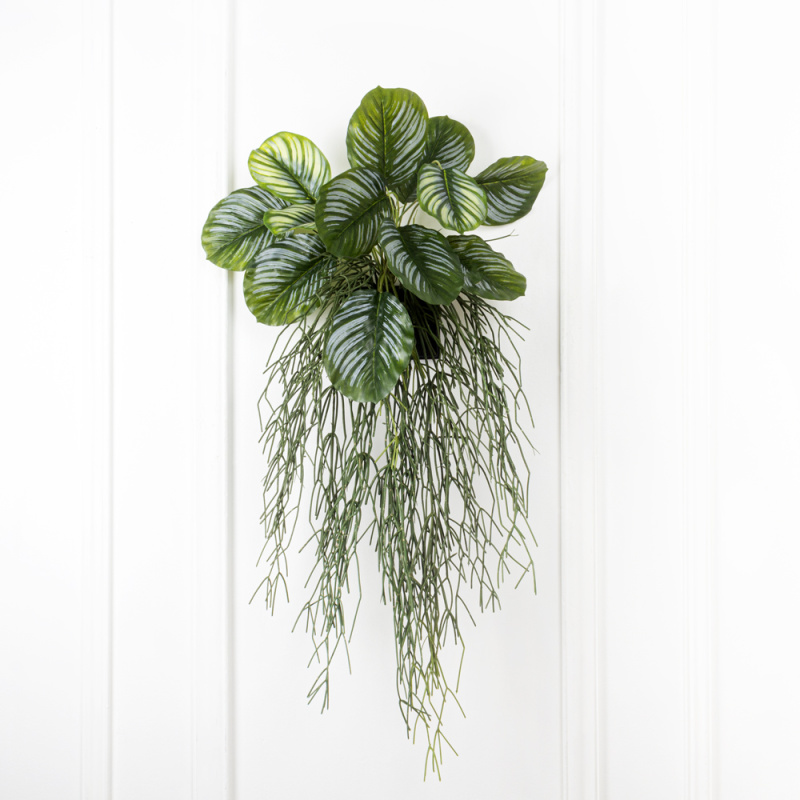 БК 01(Promo) Композиция с рипсалисом и филодендроном на блоке 15*h10см_6