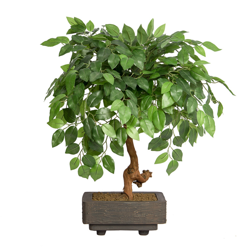 БЛ 55/09М-1_(з.)