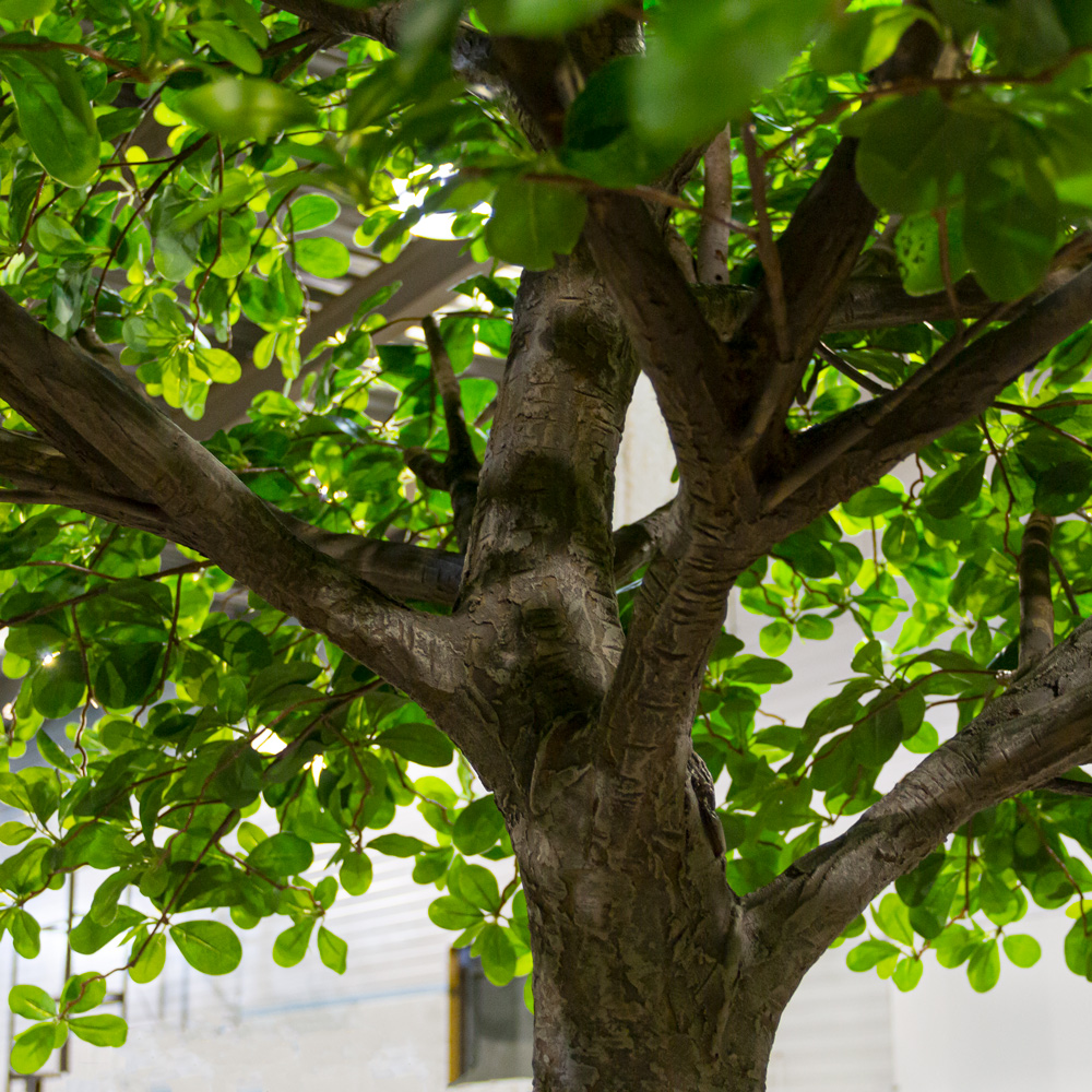 350разб/84-1(з) Шеффлера искусственная разборная h350см, d190см_3