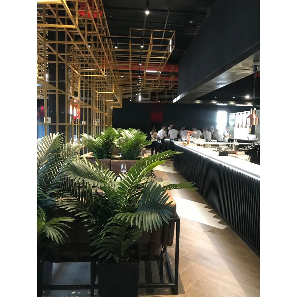 П150/К/49 Пальма кустовая (латекс) 150см_3