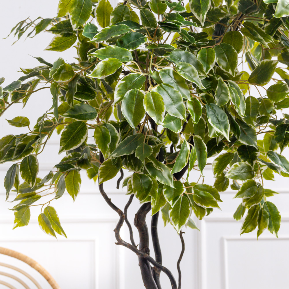 160/ВИТ/17(Пр)(F) Фикус Бенджамина искусственный h160см_2