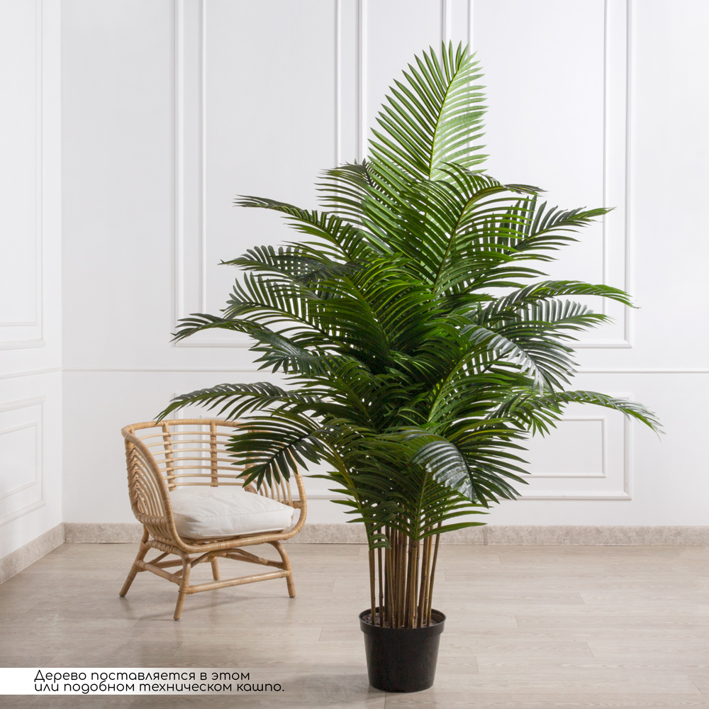 ПК200/К/49-3(з)(Пр)(Акция)(F) Пальма искусственная кустовая h200см (латекс)_10
