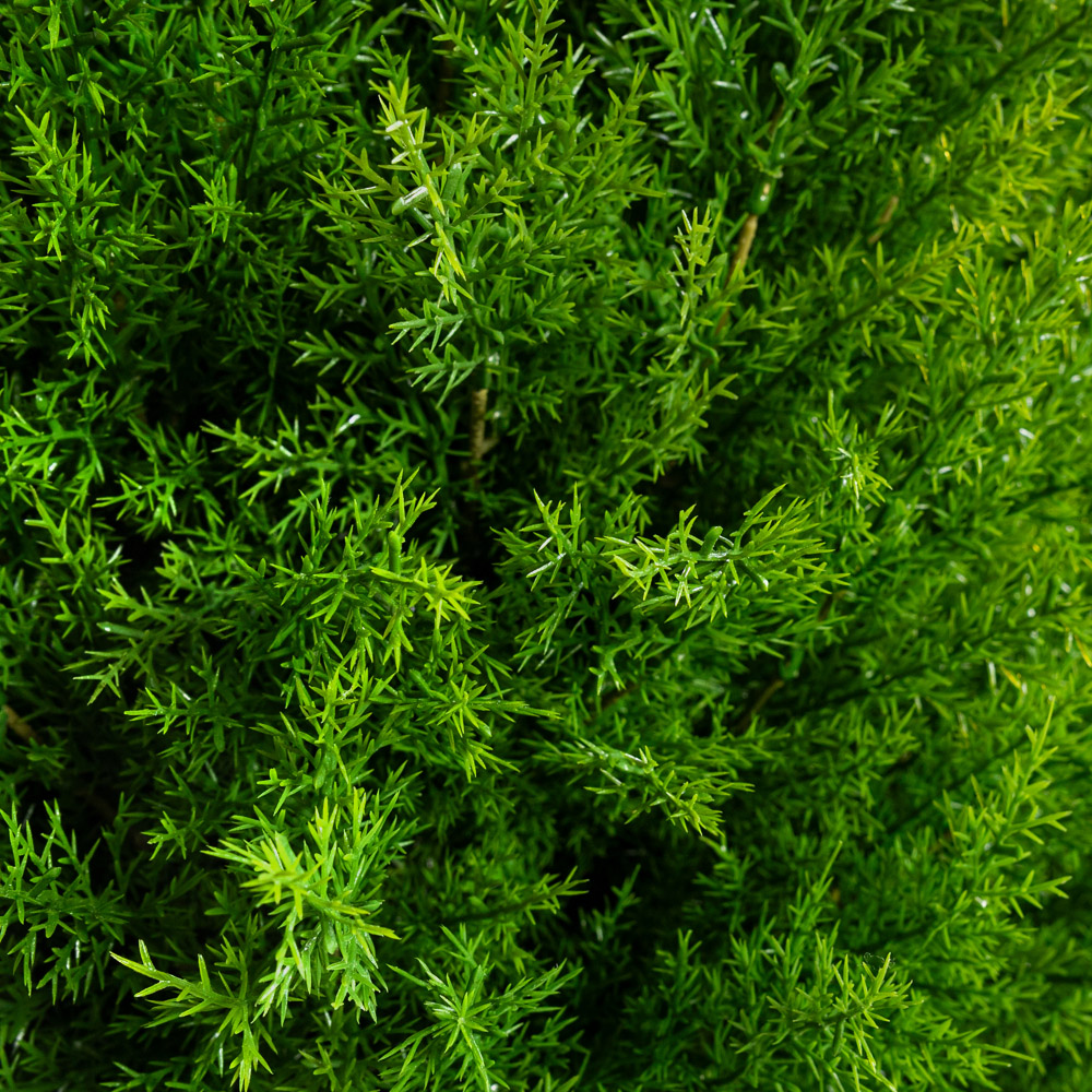 Т380/4677(з)(F) Туя искусственная конус Платинум Грин h380см_5