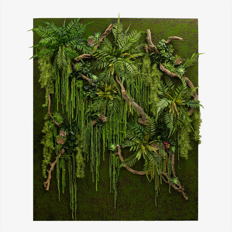 Фитостена 52(з.) с суккулентами