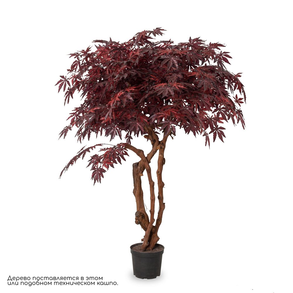 160/ОС/400-1(з) Клён искусственный японский h160см (латекс), красный_1