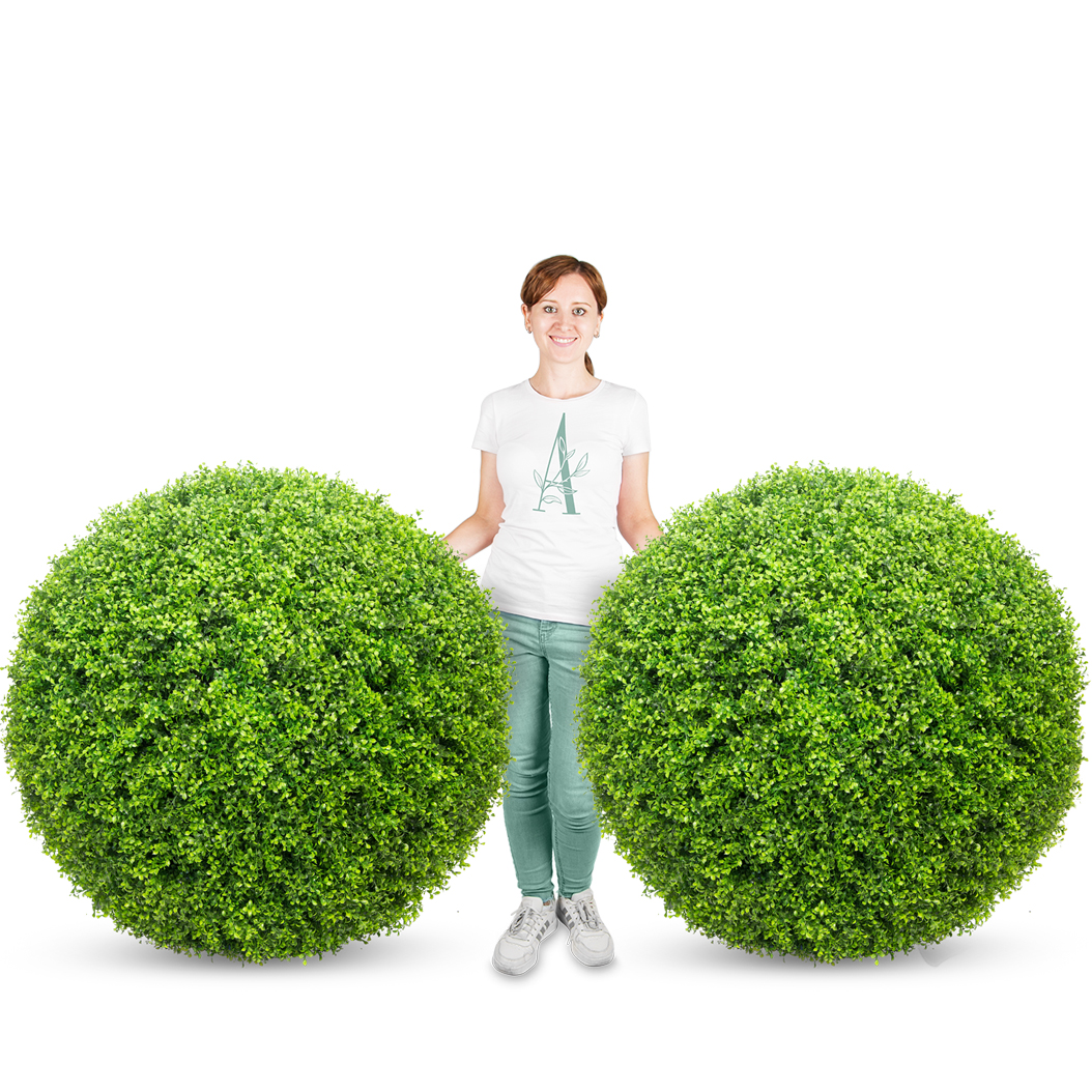 СШ120/229(з.) Самшит-шар Премиум (d-120см)_3