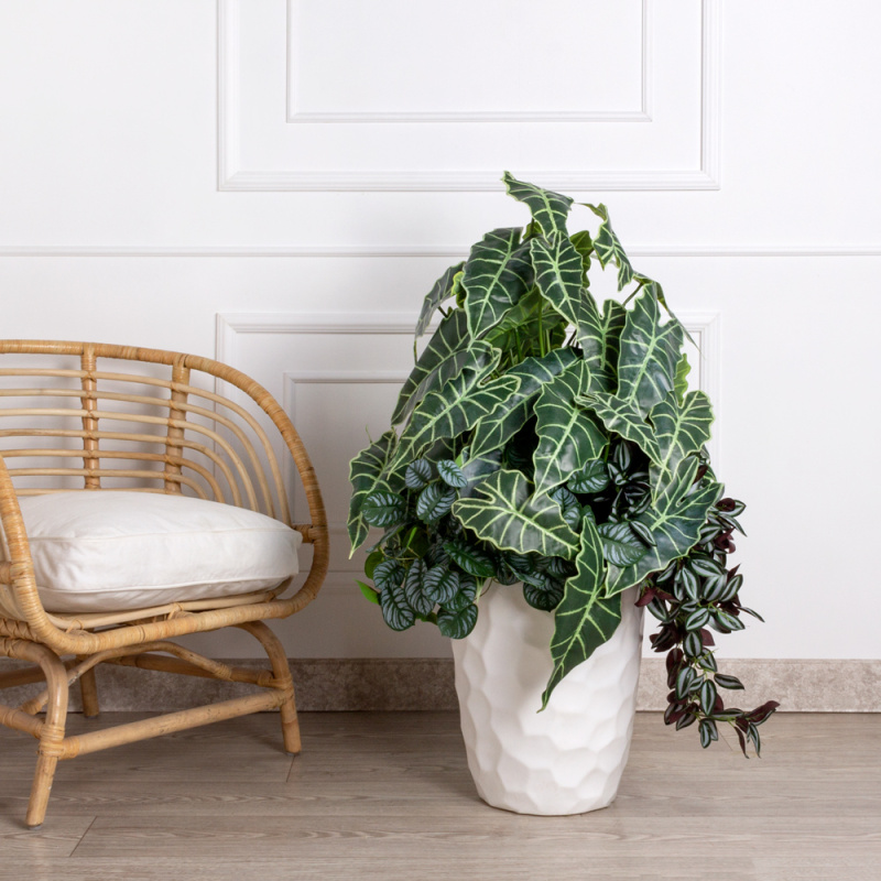 К451(з) Композиция искусственная с Алоказией Поли в интерьерном кашпо