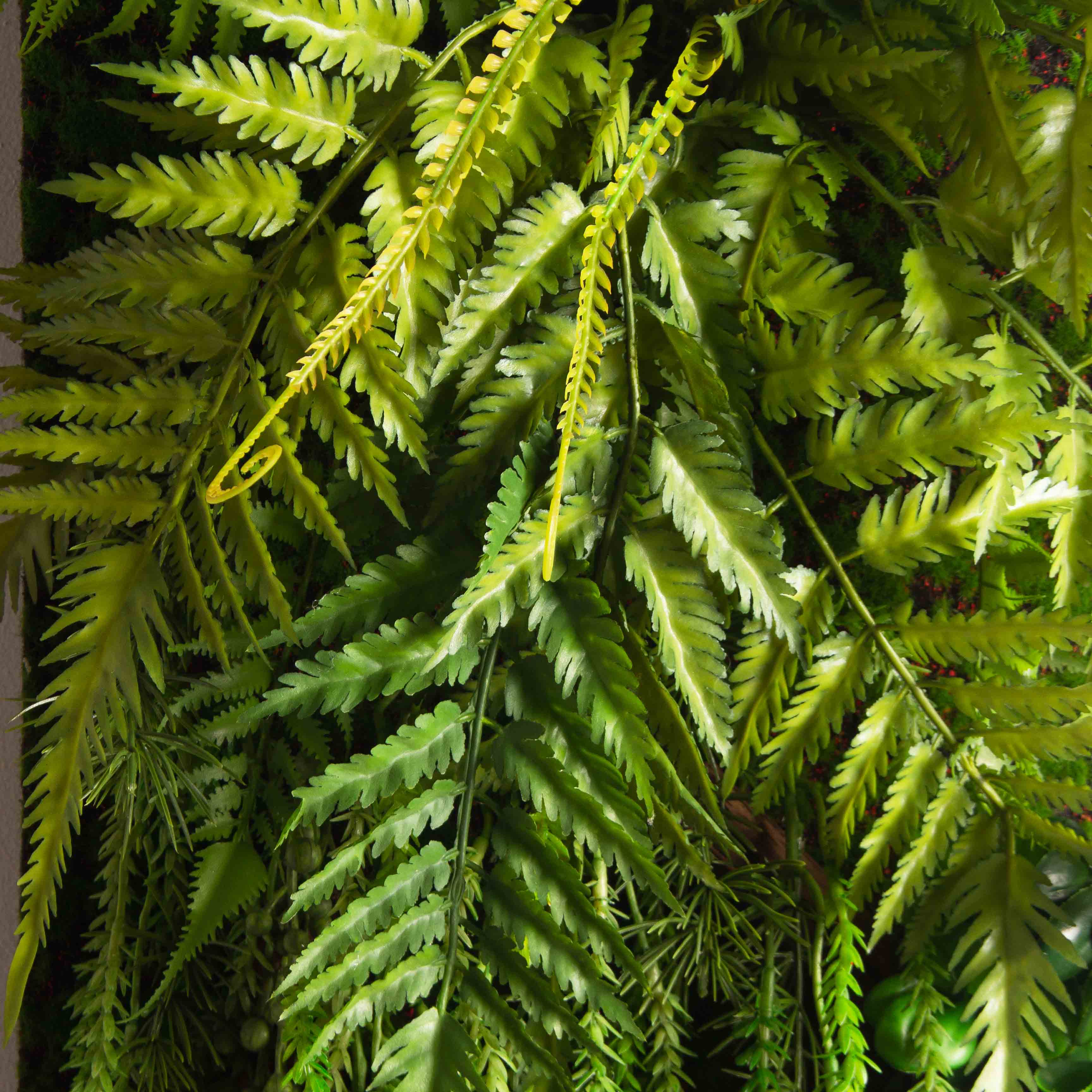 ФК03(з.)(F) Фитокартина с Эхеверией (44х h105см)_4