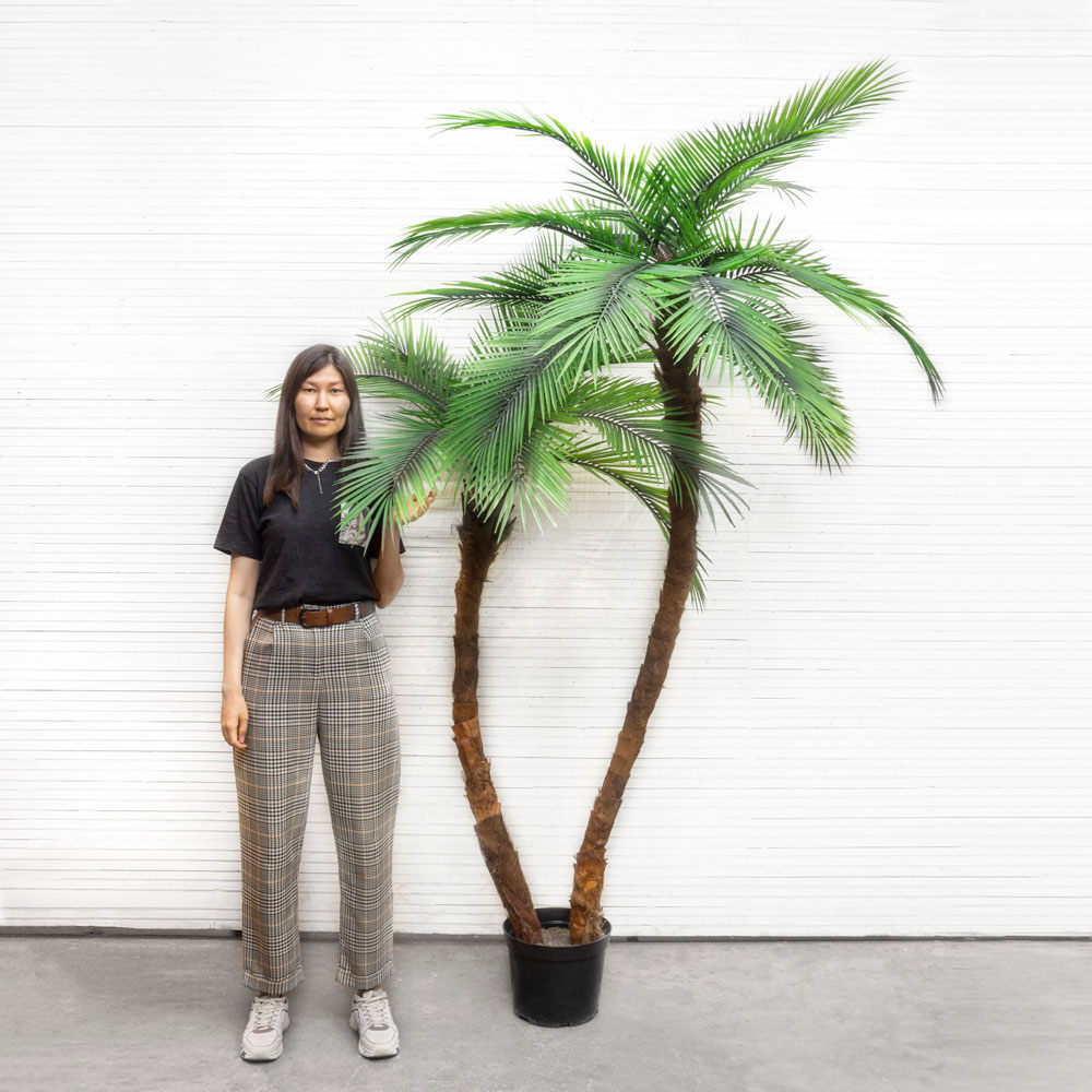 П245/2С/453(Х) Пальма искусственная финиковая h245см_3