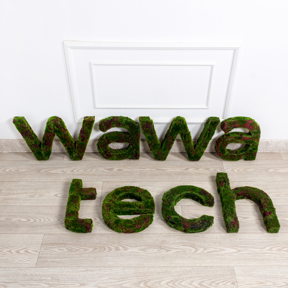 Логотип (з)(F) WAWAtech 300хh30см _1