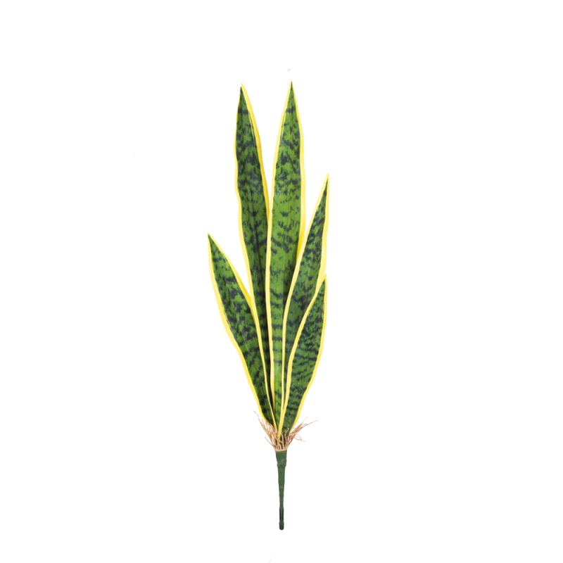 7143/0382-1/3 Сансевиерия (щучий хвост) больш. (желт.)h 68 см