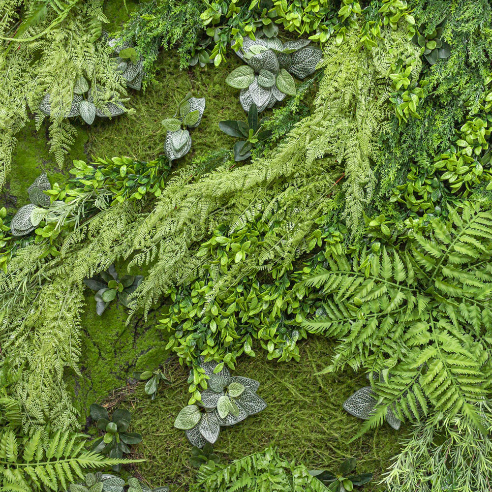 Фитостена 110-1_1