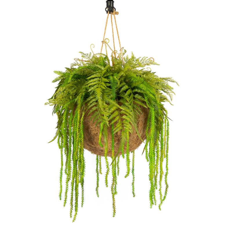 ККВ03(з.) Папоротники в коковите d50см(силикон)