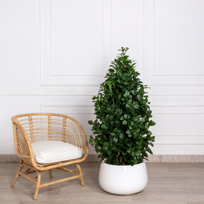 140/РН/64(з)(Пр) Рускус искусственный куст h140см, d50см(латекс)