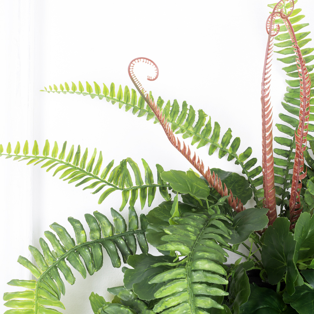 БК 04(Promo) Композиция с папоротником Экзальтата на блоке 15*h10см_30