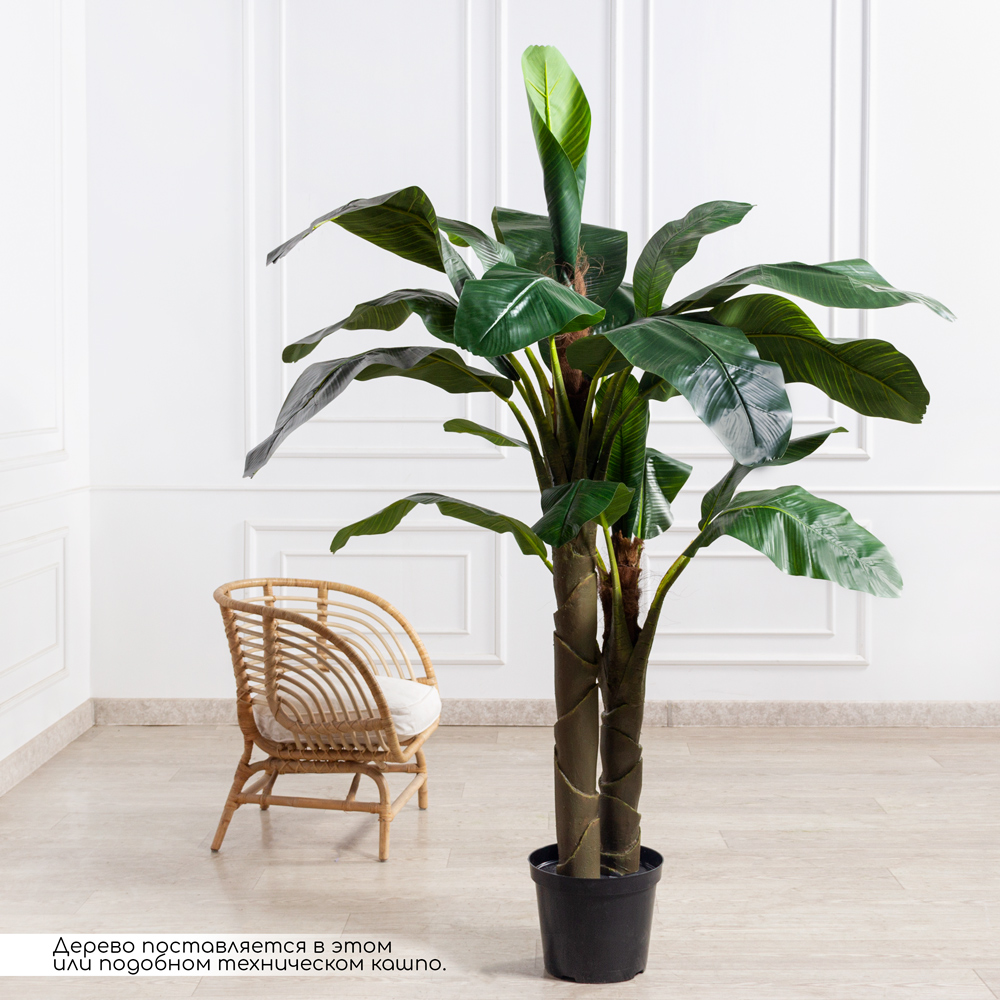 ПС210/2С/43(з)(F) Банановая пальма искусственная h210см (латекс)_1