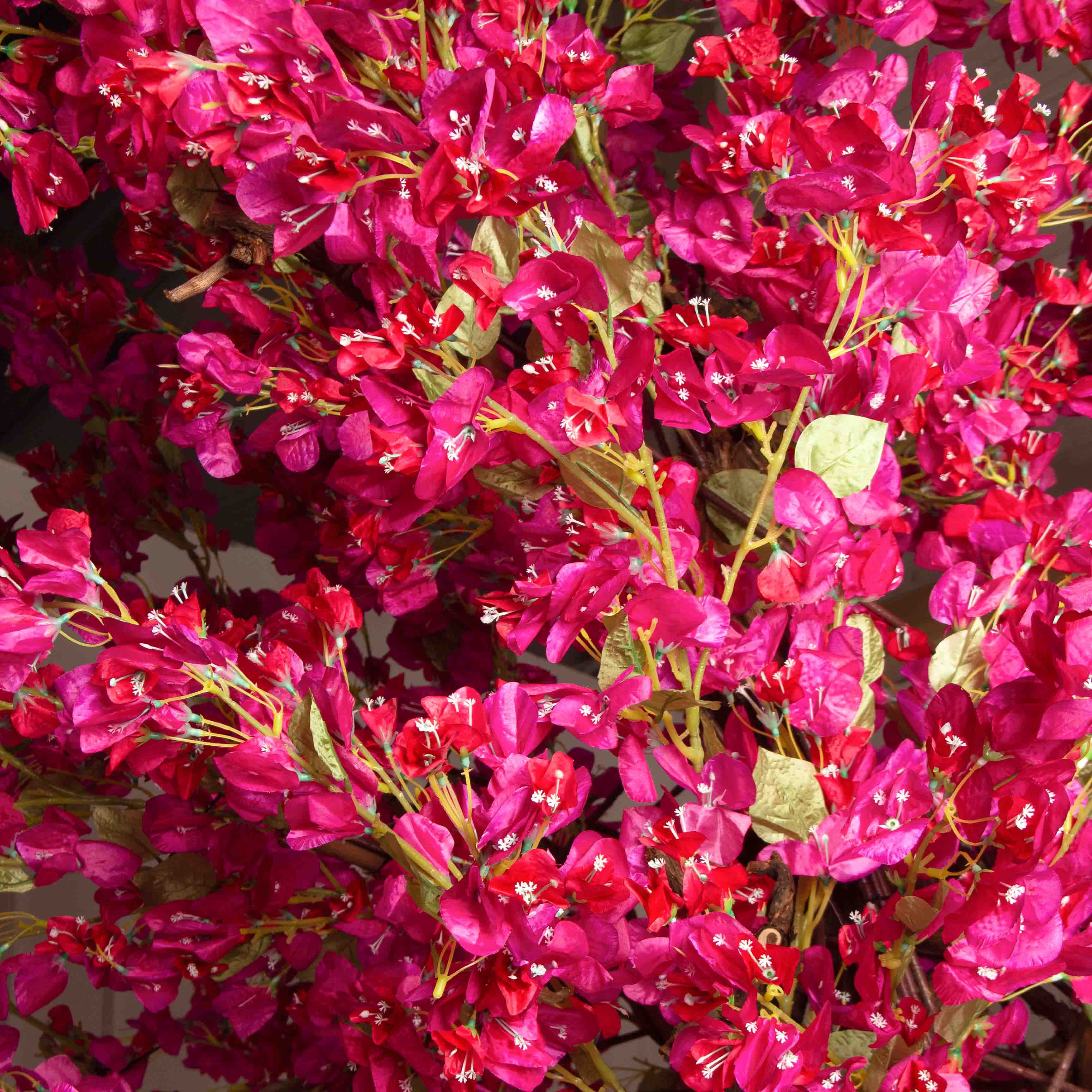 360/ОС/434(Пр)(F) Бугенвилле́я искусственная h360см_5