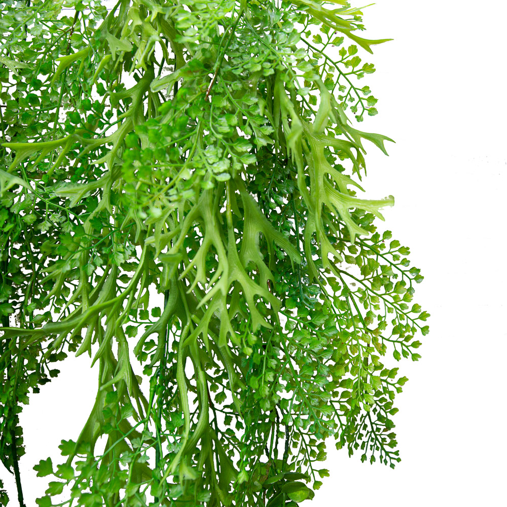Л38 Лиана с Адиантумом L100см_2