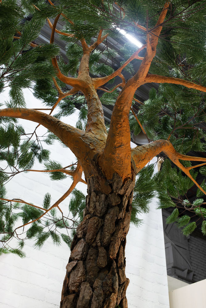 400Разб./нат/224(з.) Сосна с натур.корой h-400см_7