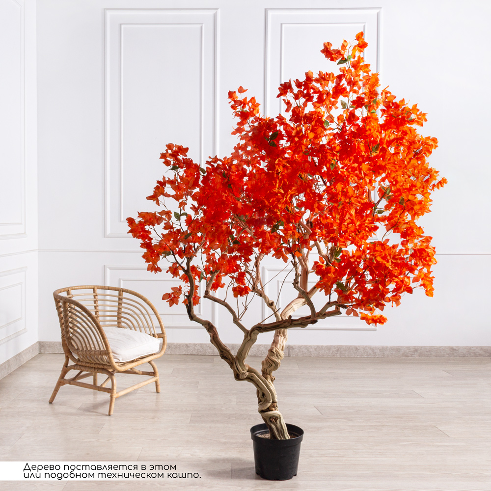 БЦ210/Д3/434(Пр)(F) Бонсай искусственный Бугенвиллия h210см_1