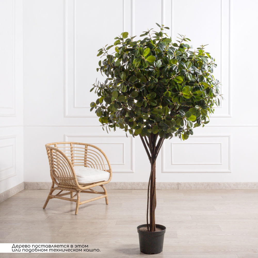 180/РН/527(F) Фикус искусственный Грин Исланд h180см _1