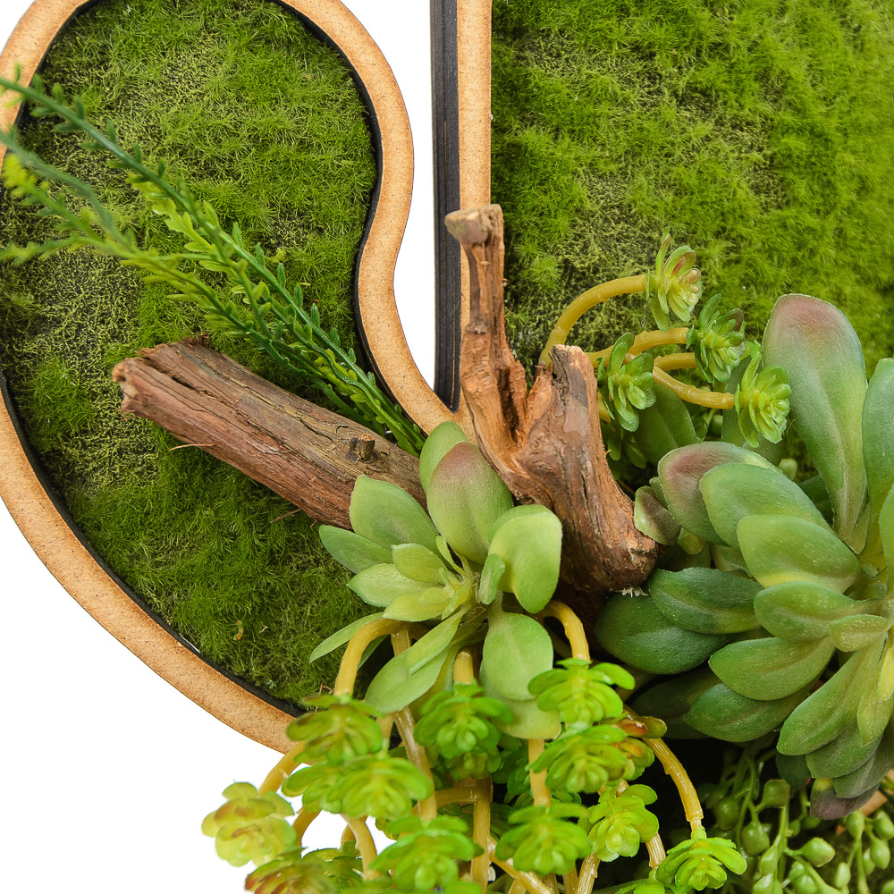 Фитопанно 01 с суккулентами (40хh51)_3