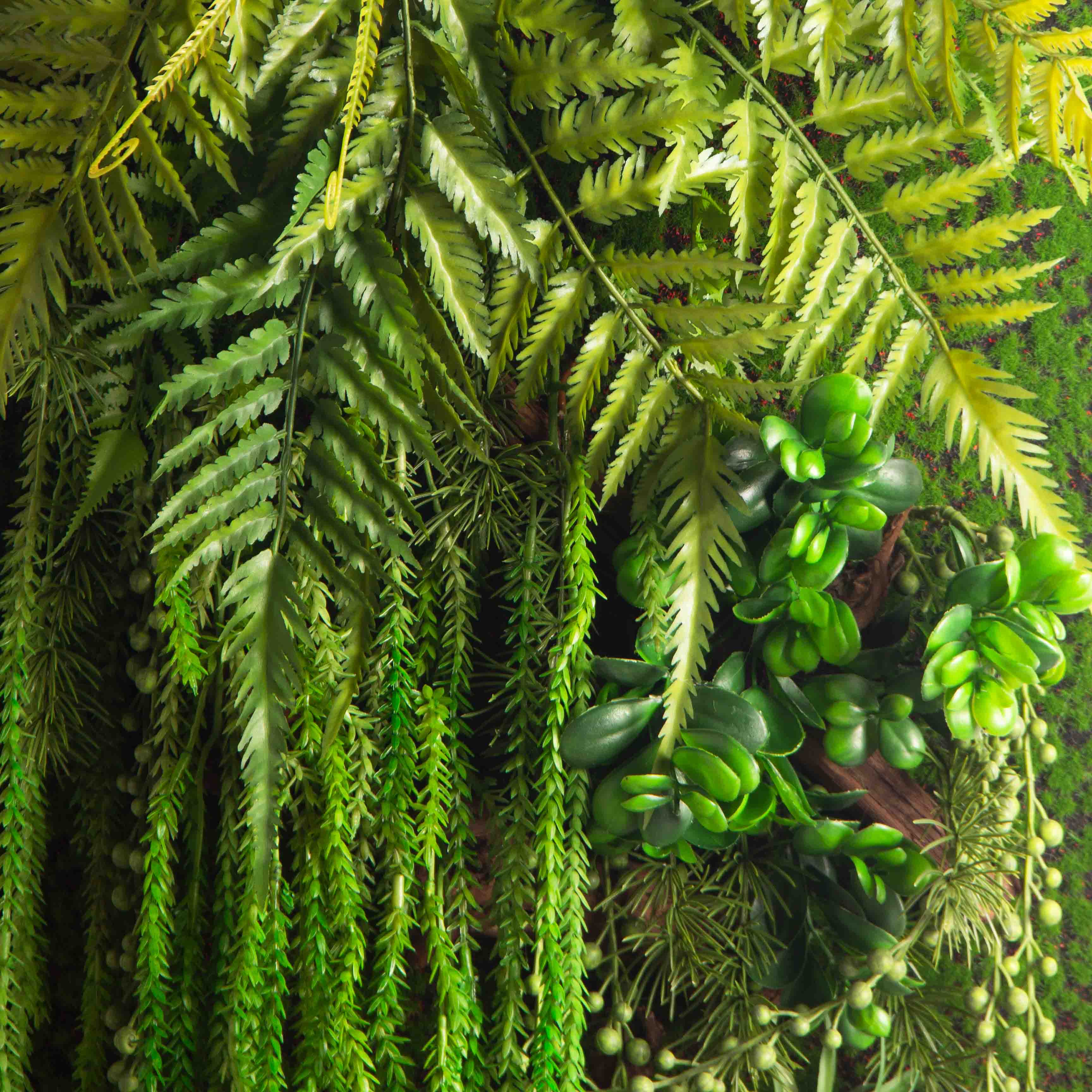 ФК03(з.)(F) Фитокартина с Эхеверией (44х h105см)_5