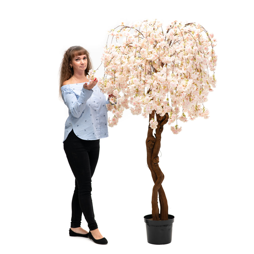 180/2К/ОС/191-2 Сакура королевская (белая)180см_3