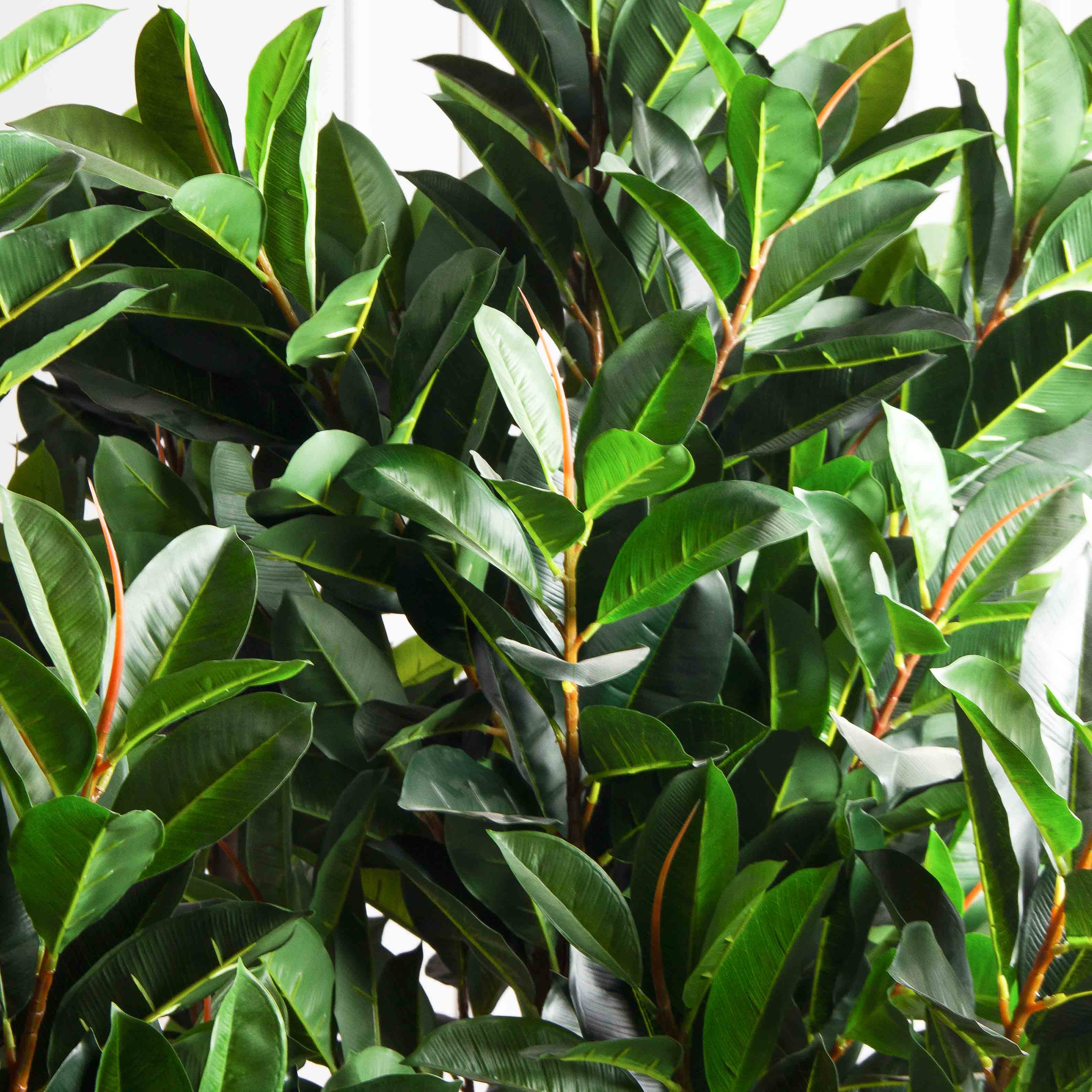 240/К/418(з)(Пр)(F) Фикус искусственный Эластика  h240см, латекс_8