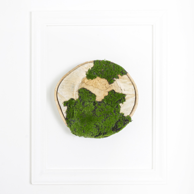 БК140/14 Композиция на березовом спиле d30-40см_6