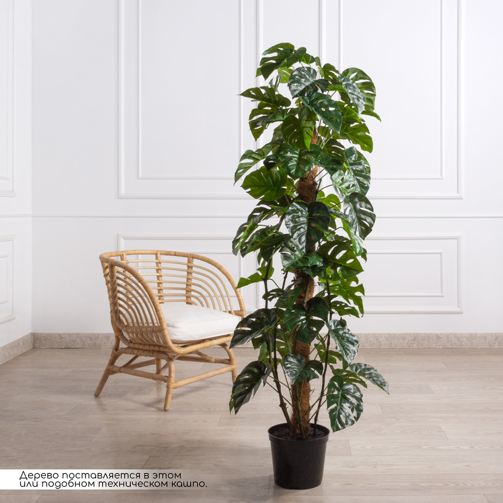 К150/215(F) Монстера искусственная h150см (латекс) в кашпо_1