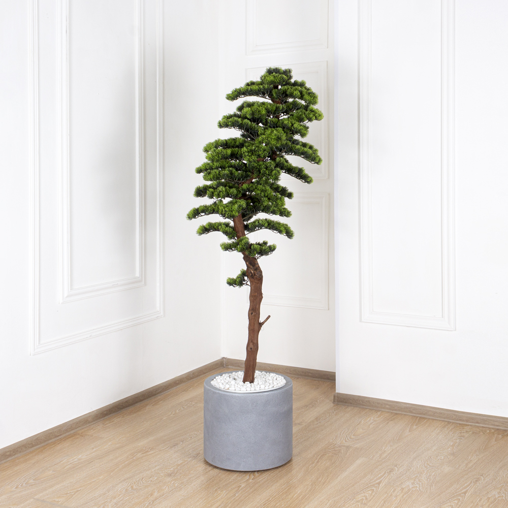 160/ОС/230 Бонсай сосна h160см_7