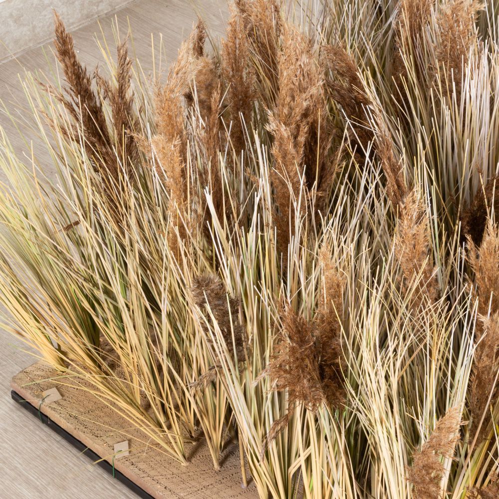 ФТМ184(Пр)(F) Фитомодуль 60х60см _5