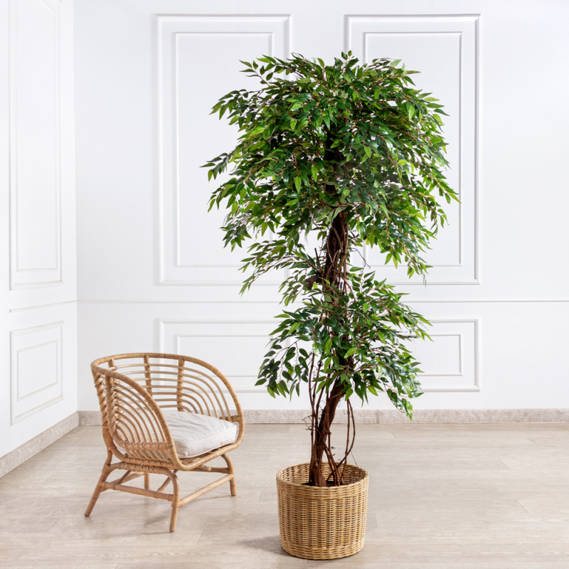 200/ОС/ВП/227(F) Фикус искусственный плакучаясмоковница h200см